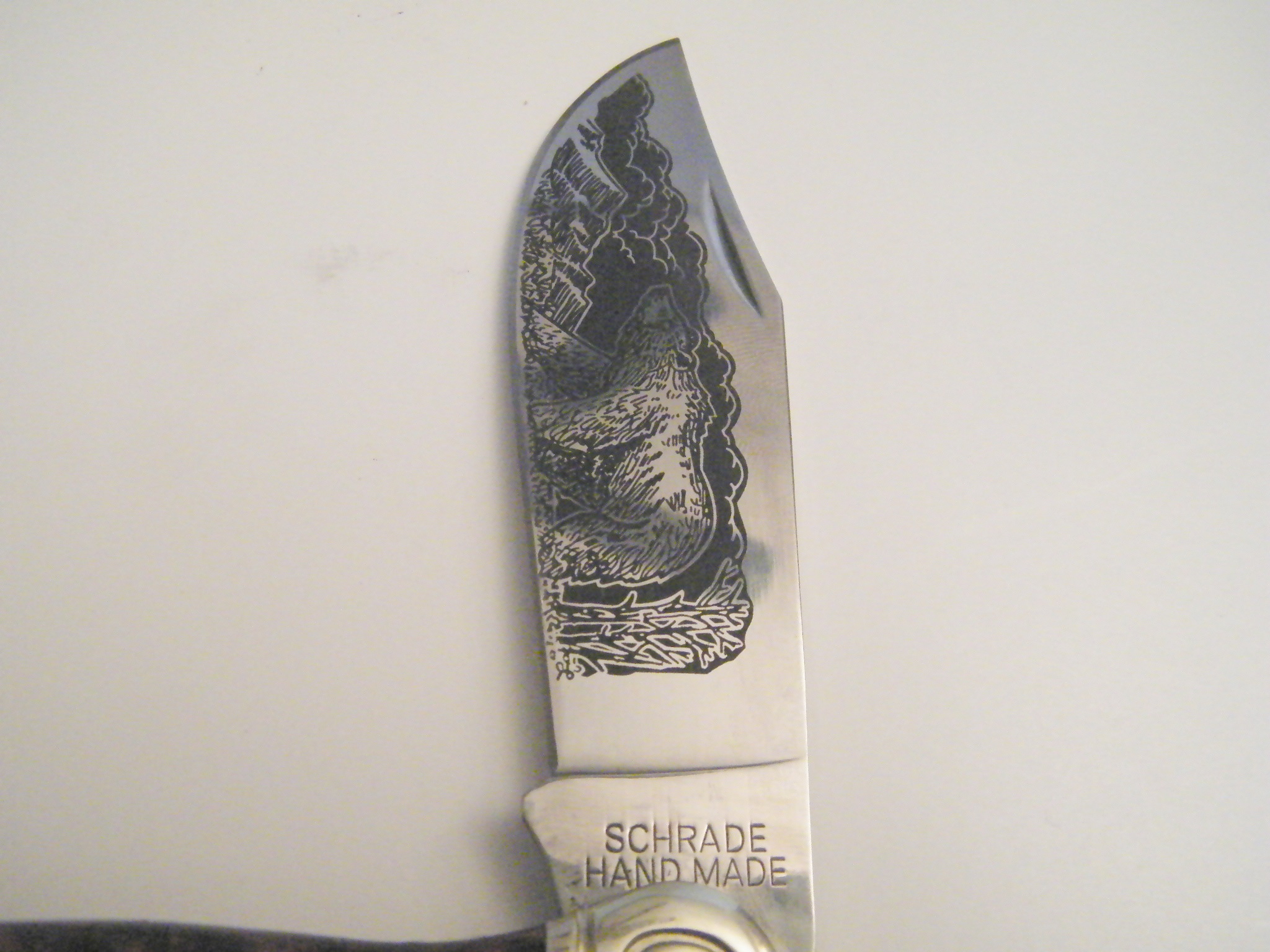 Schrade collectors knife