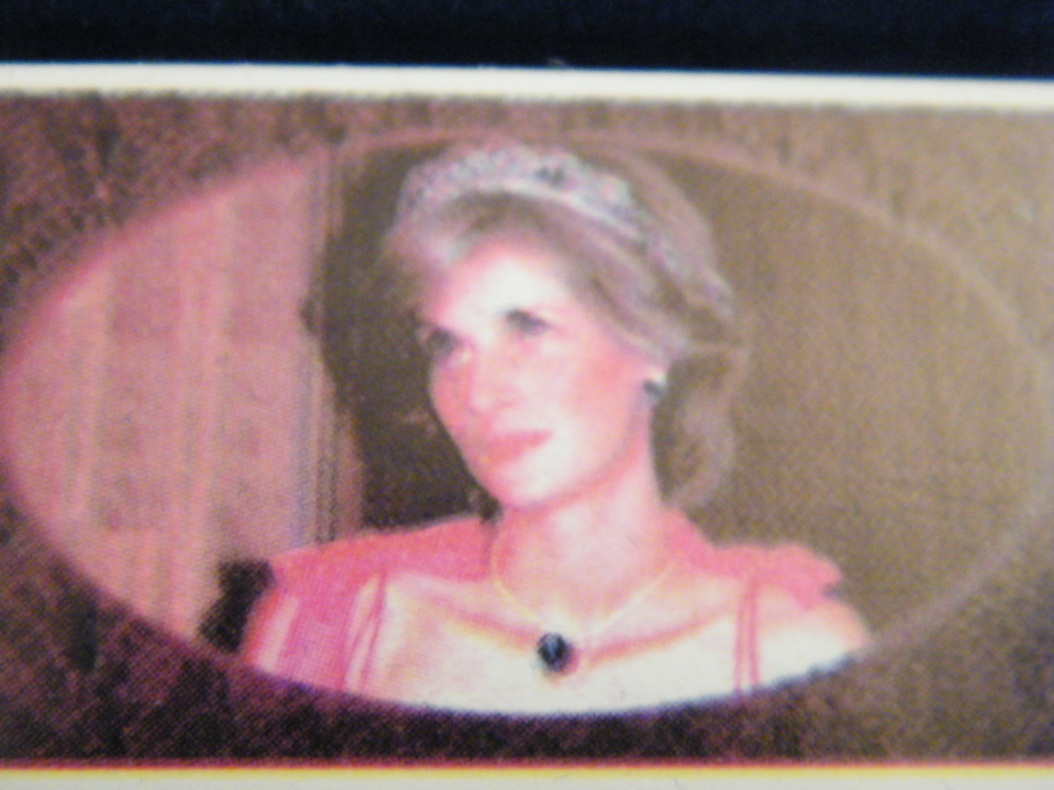 Princess Diana collectors knife