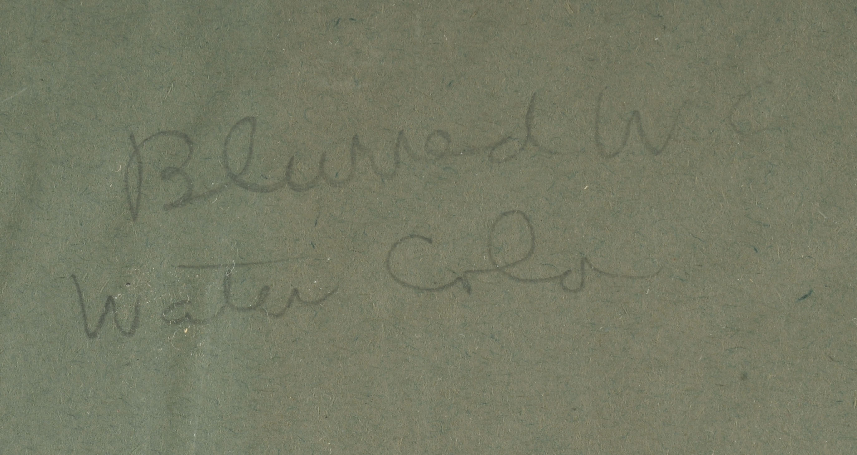 Chromolithograph and Original Pen Drawing 