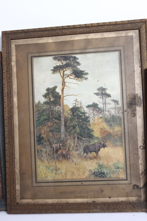 Vintage Hunting Prints