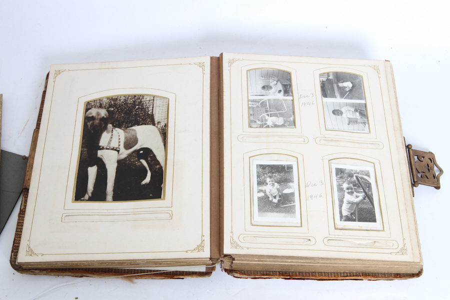 Lot of Vintage Photo Items