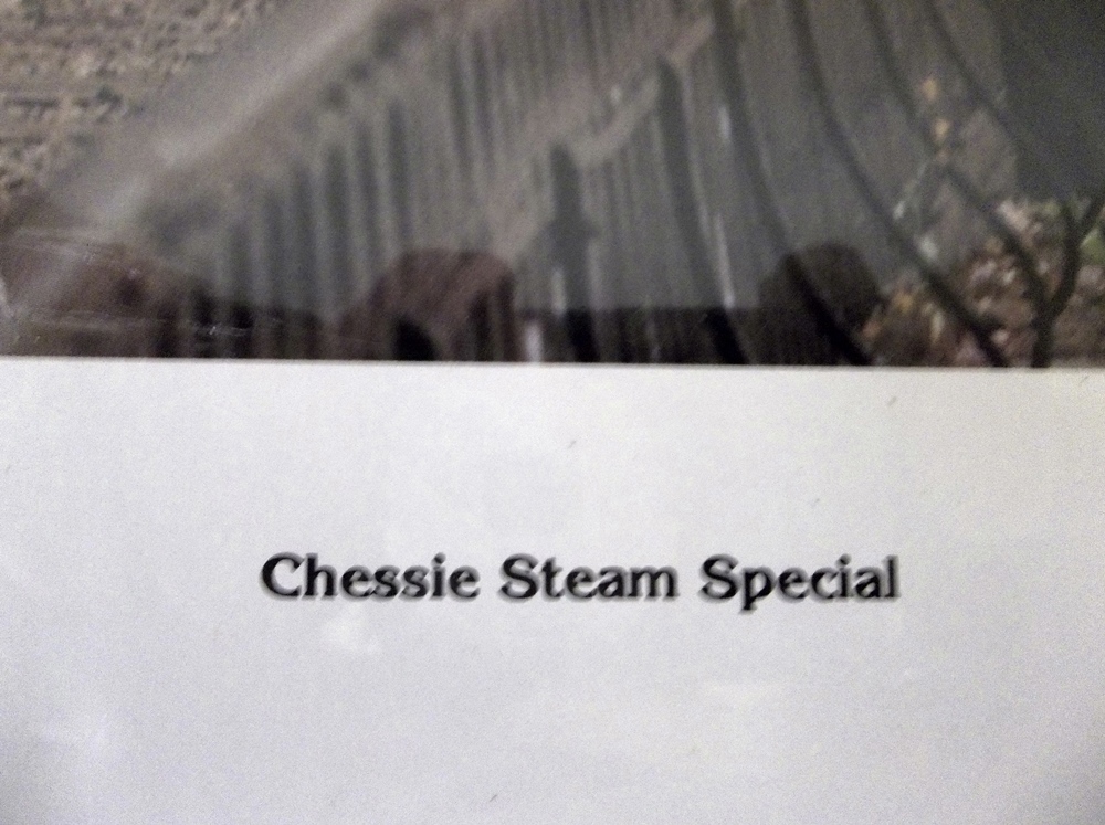 American Indian Print & Figurines