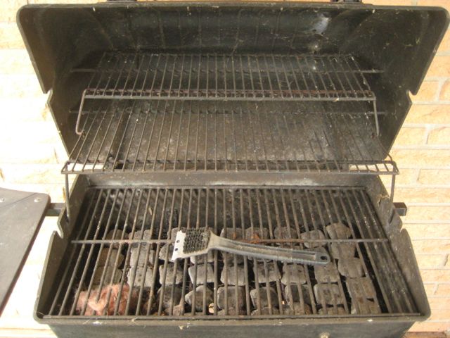Sunbeam Grillmaster Gas Grill