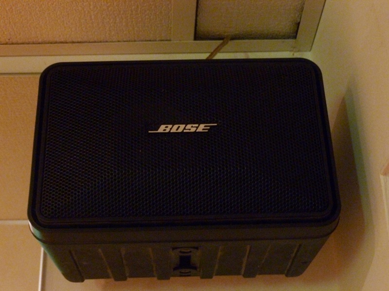 Pair of Bose 101 Indoor/Outdoor Speakers