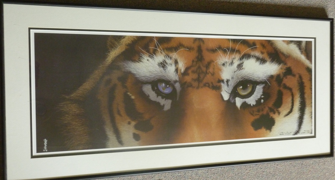 Brodie Mitchell Signed Print of Tiger