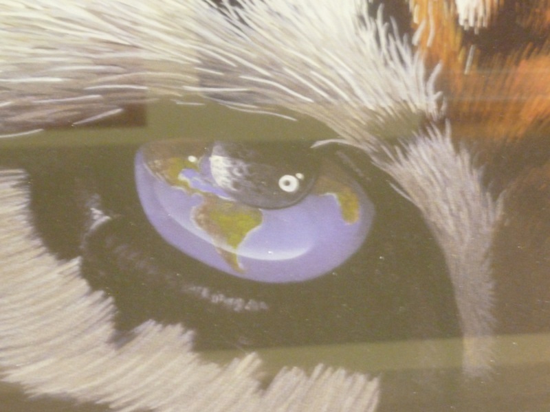 Brodie Mitchell Signed Print of Tiger