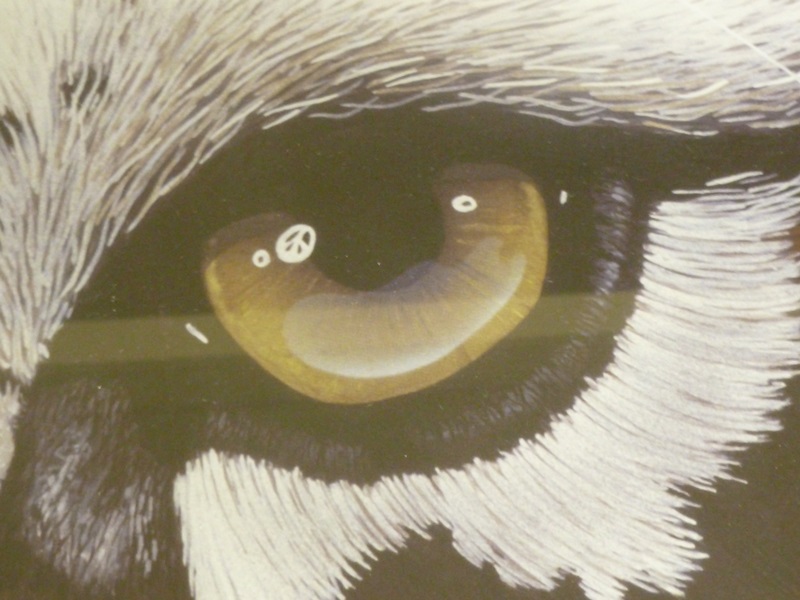 Brodie Mitchell Signed Print of Tiger