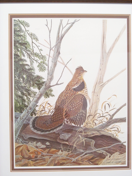 Limited Edition Print "Ruffed Grouse" by John Ruthven