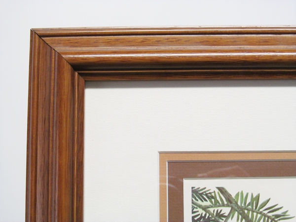 Limited Edition Print "Ruffed Grouse" by John Ruthven