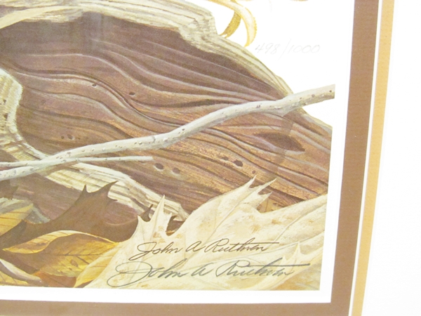 Limited Edition Print "Ruffed Grouse" by John Ruthven