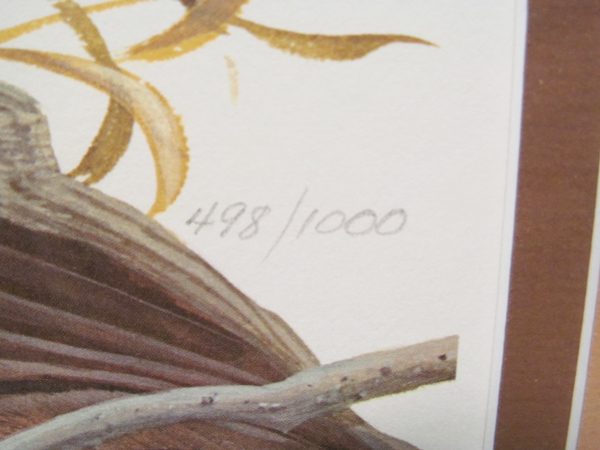 Limited Edition Print "Ruffed Grouse" by John Ruthven