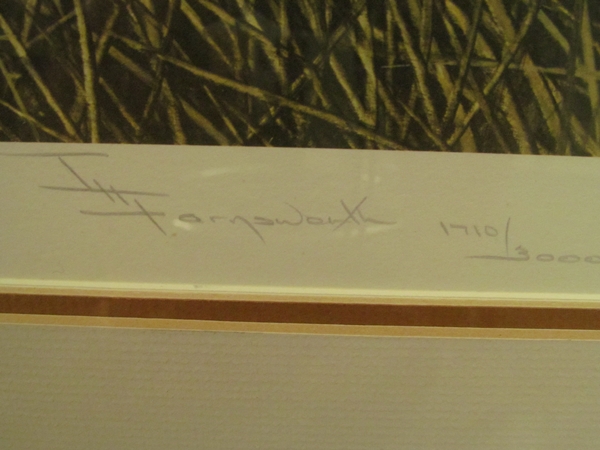 Limited Edition Print by T.H. Farnsworth