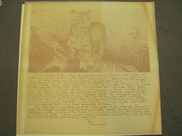 Limited Edition Print by T.H. Farnsworth