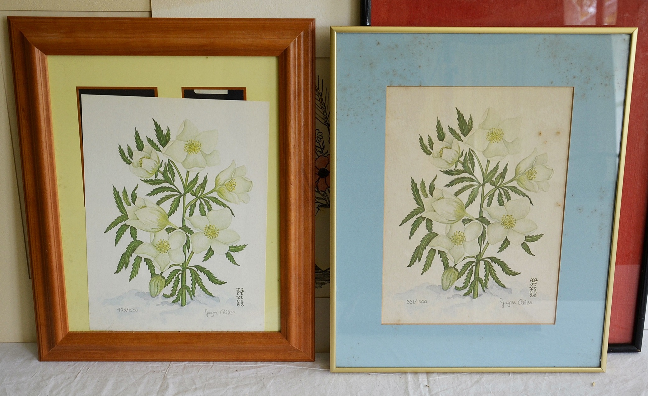 Joyce Attee, collection of signed prints in botanical theme.