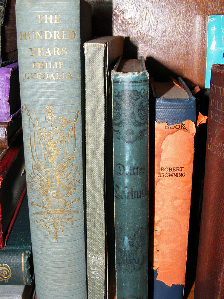 Antique & Classics Book Lot