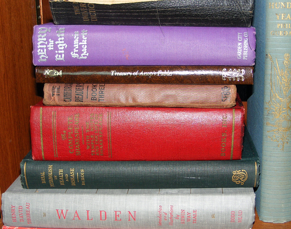 Antique & Classics Book Lot