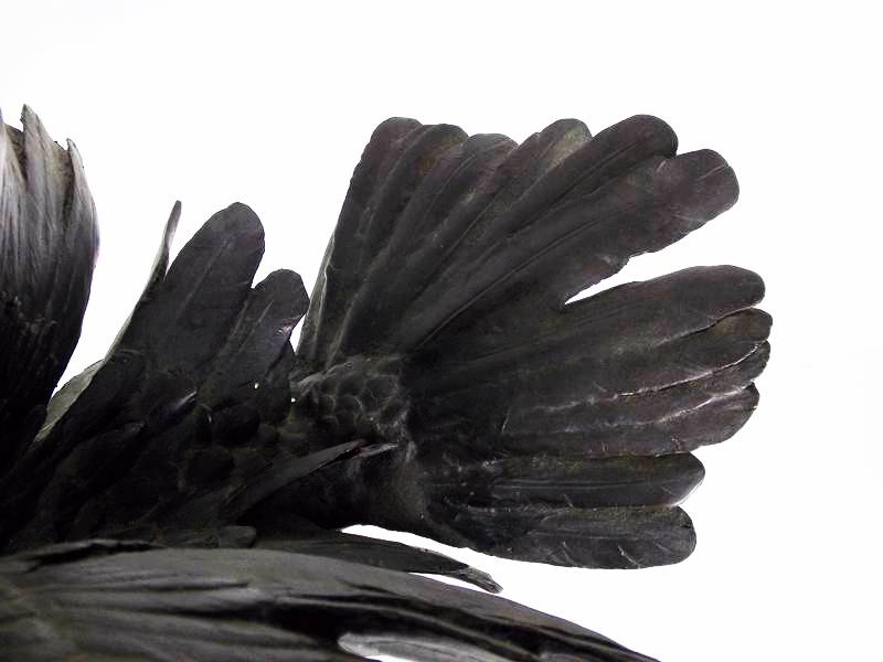 Jules Moigniez Bronze Eagle