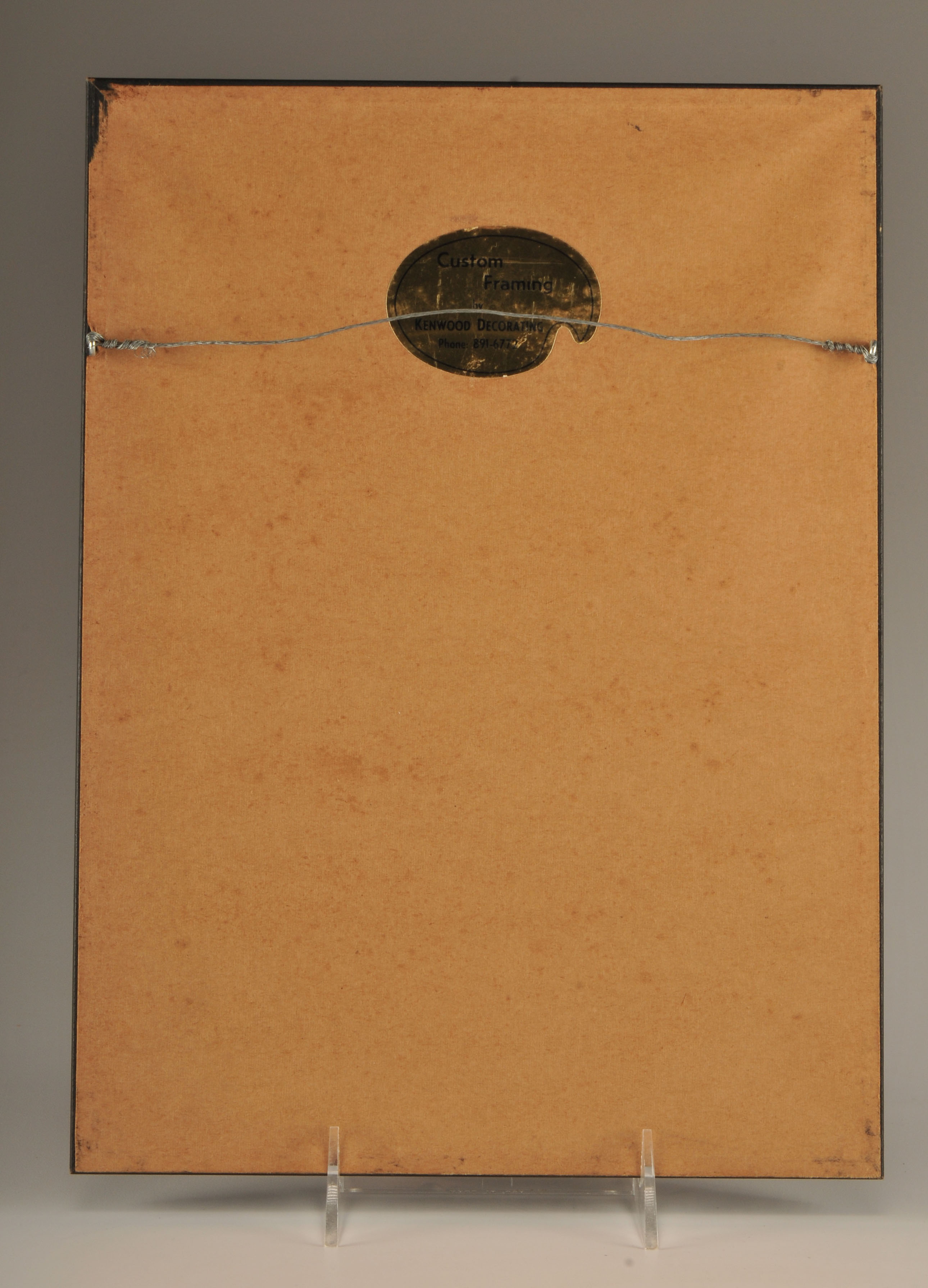 Two black and white vintage Feline photographs professionally framed 