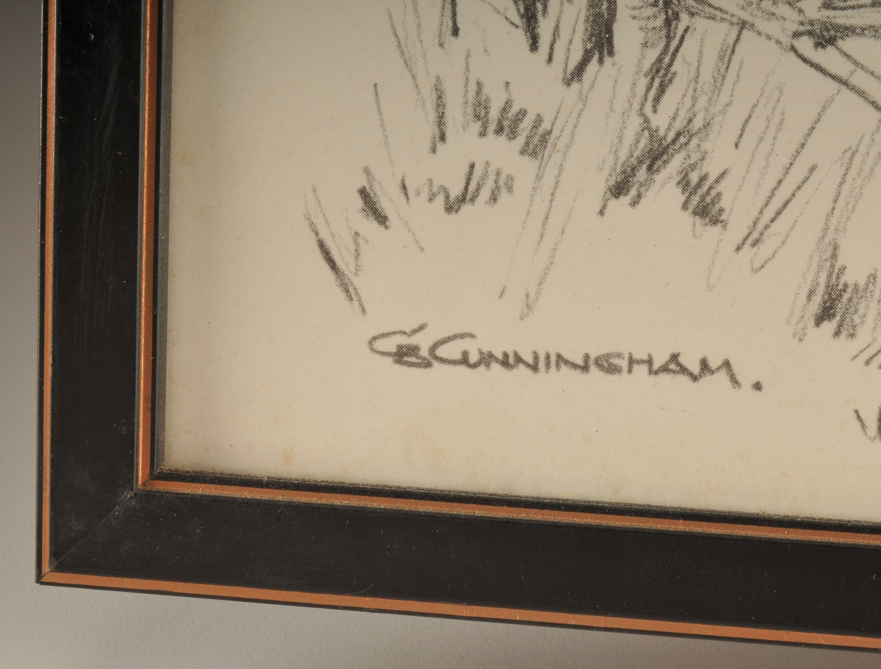 Two lithography African Wildlife prints by Artist CB Cunningham