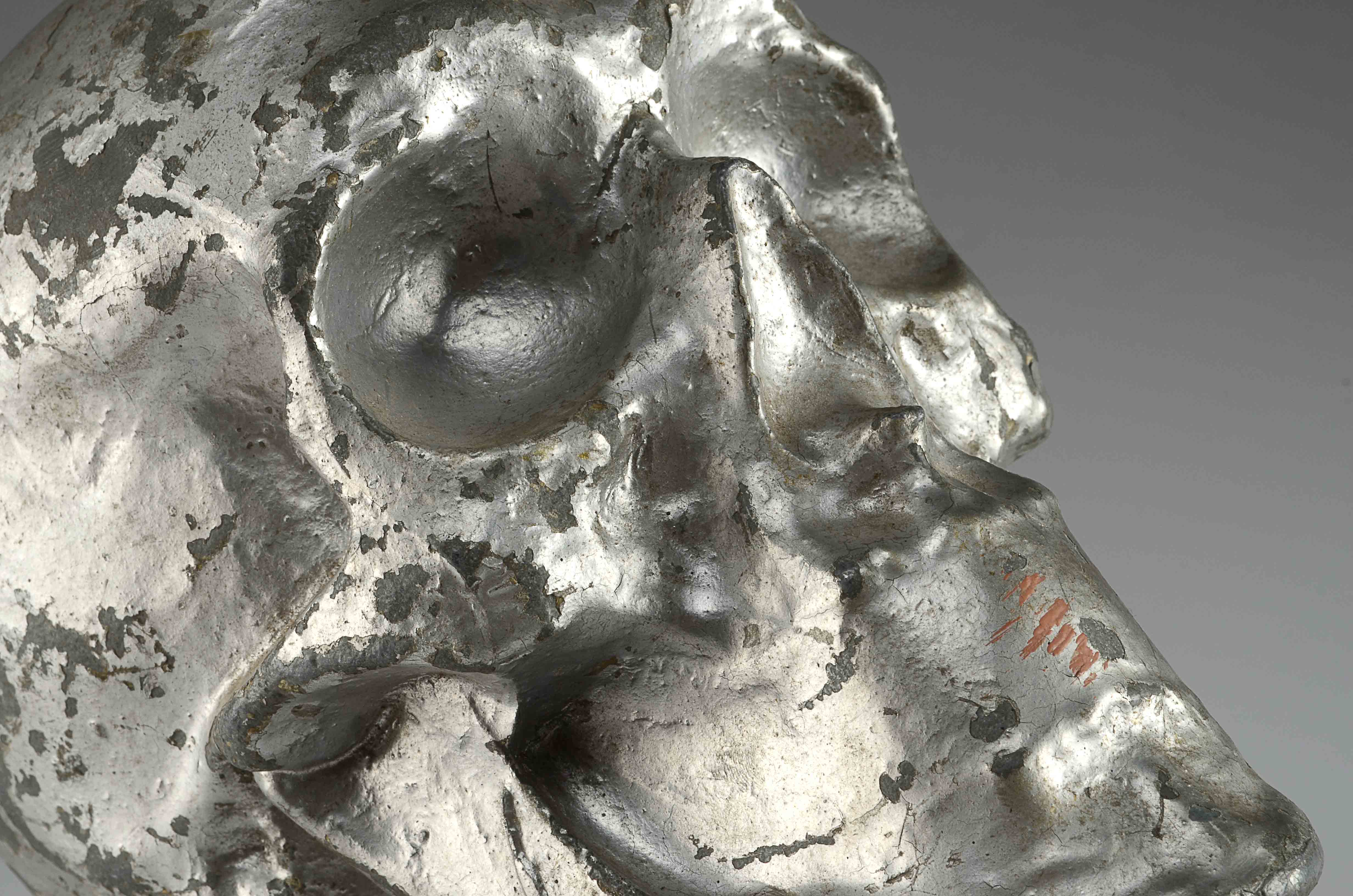 Industrial Skull Mold