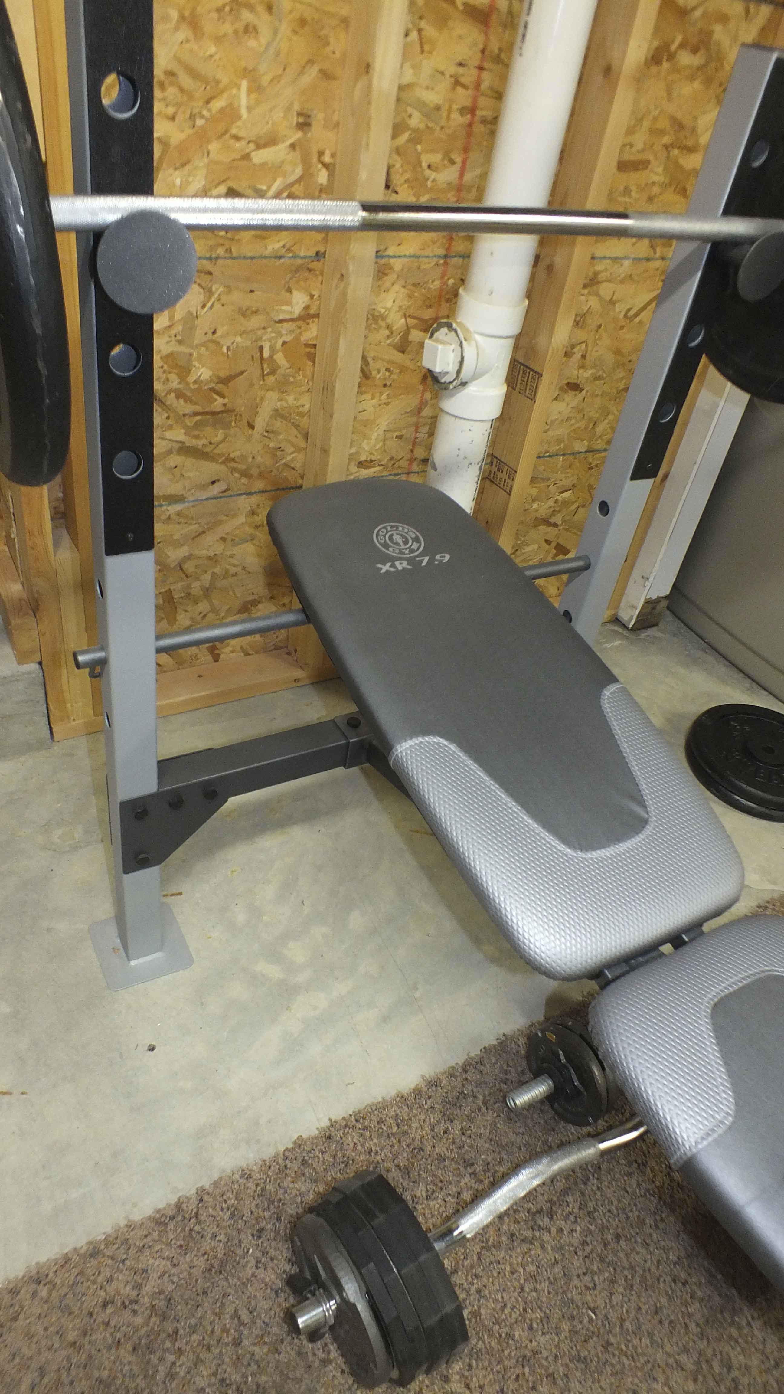 Gold s gym 2025 bench 6.1