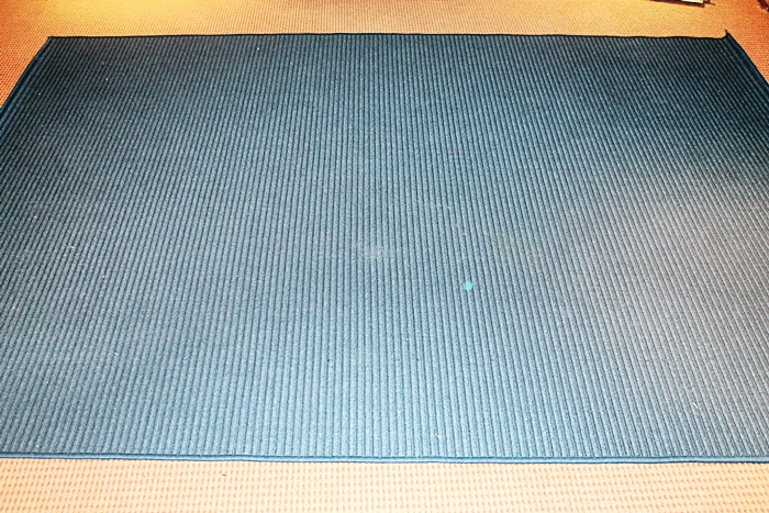 Three Outdoor/Indoor Rugs 