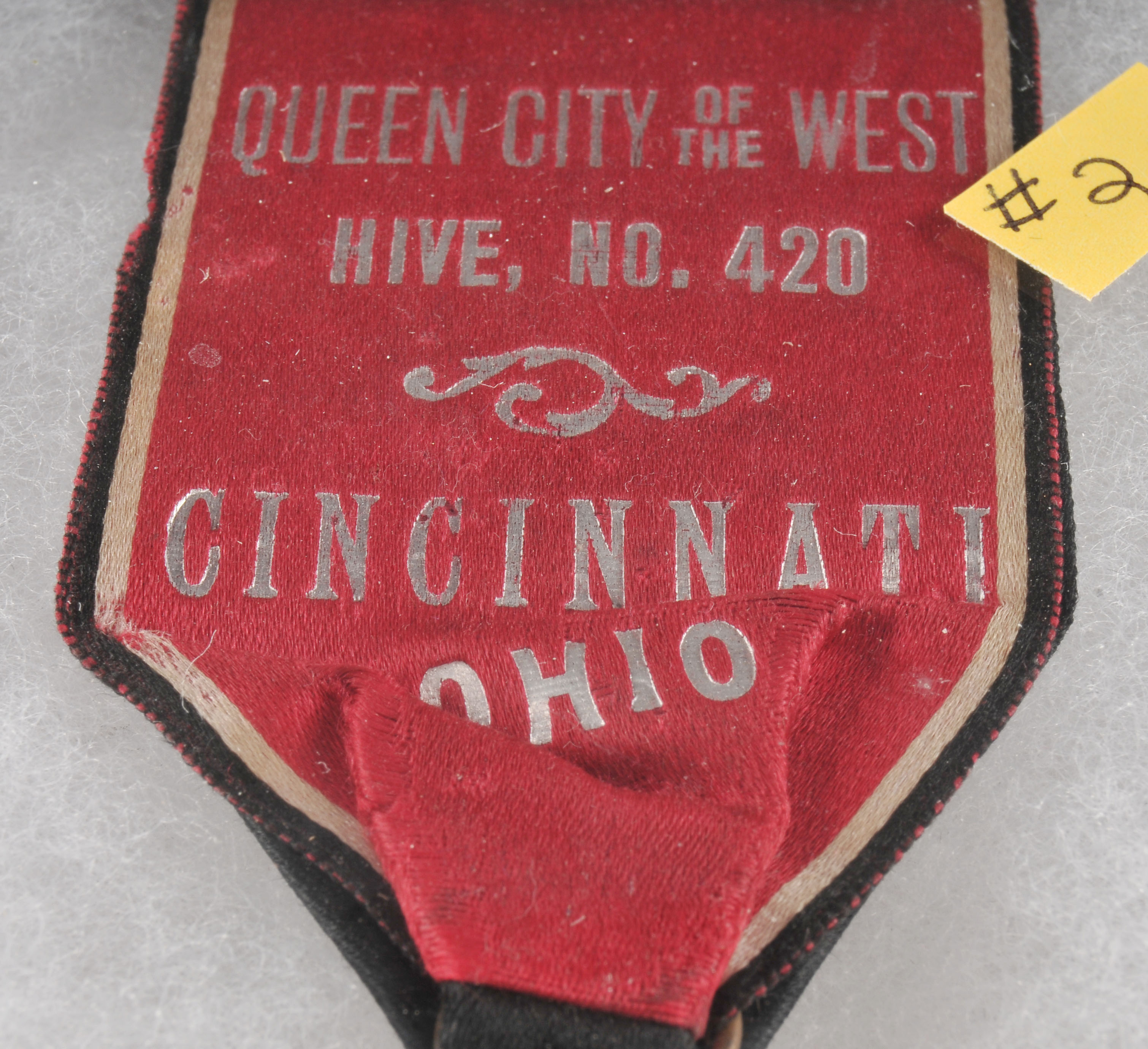 Ladies of the Modern Maccabees Pin