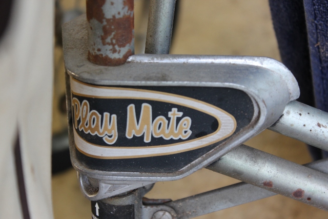 Vintage Mens Golf Clubs, Bag and Cart