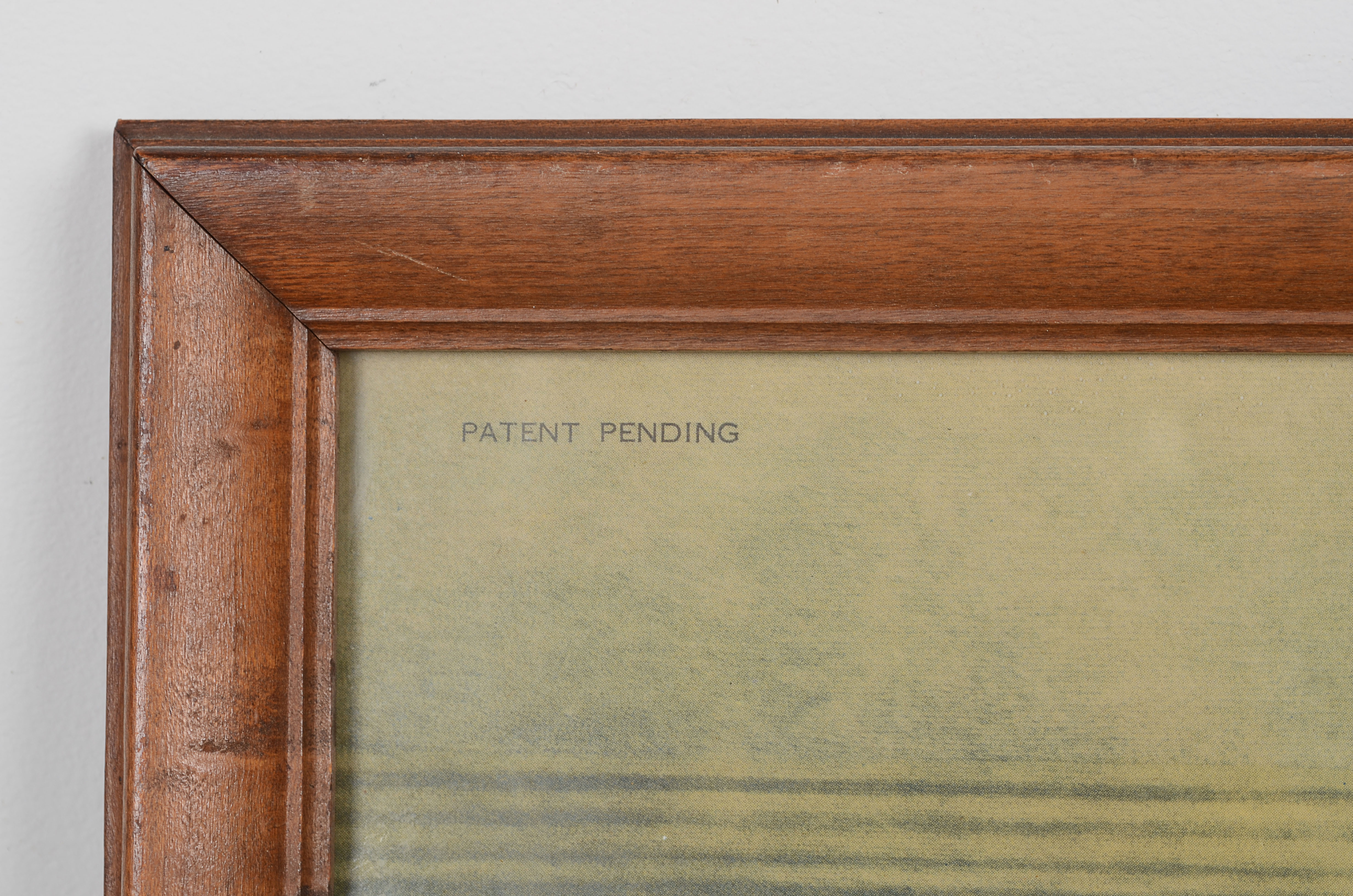 Vintage Photo Offset Lithography Print