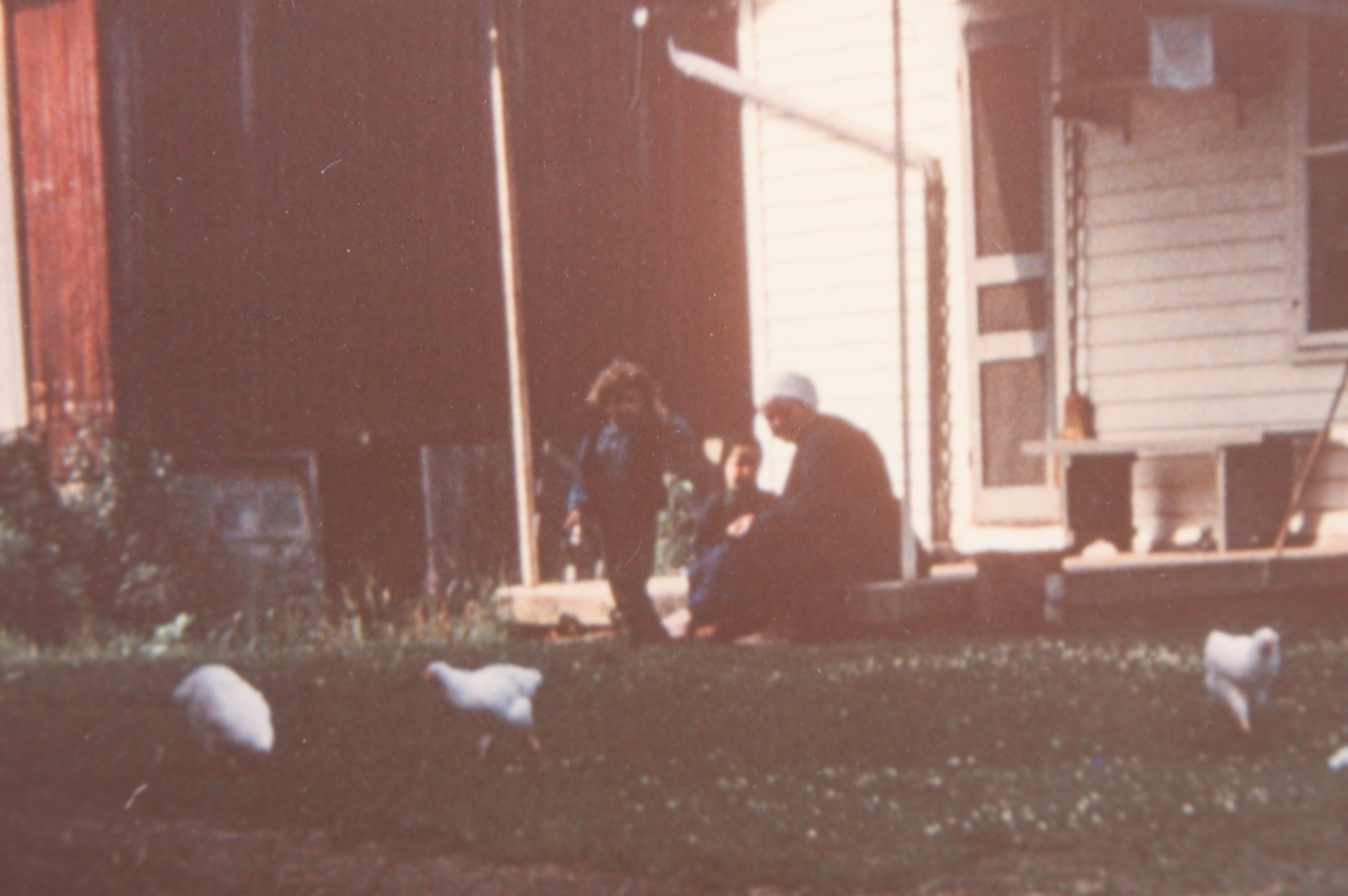 Original Photographic Print