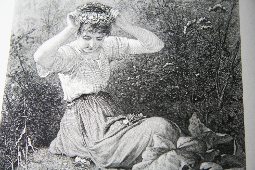 Selections in Modern Art Books