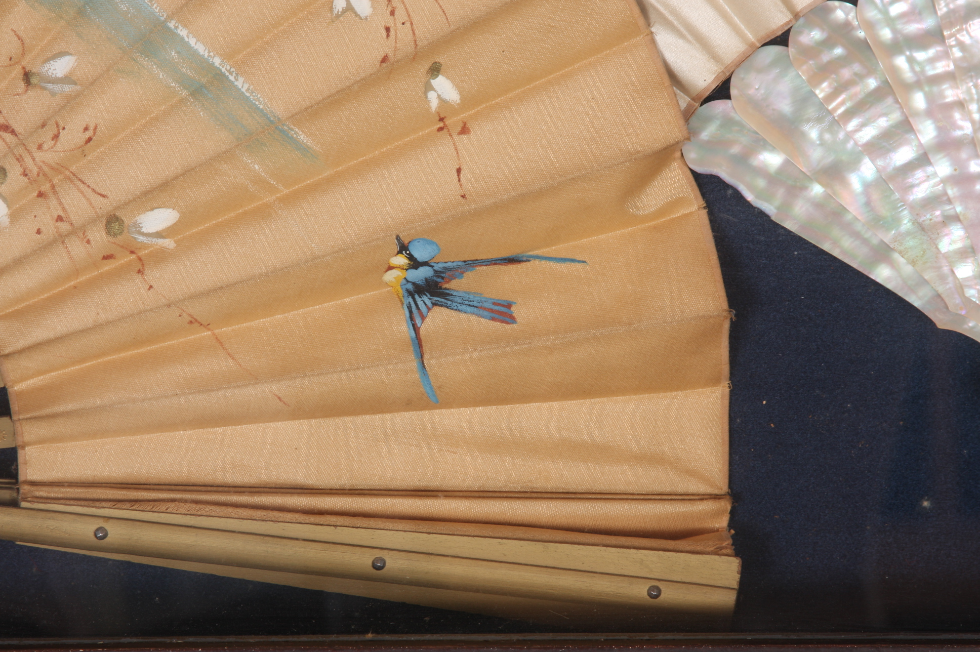 Triplet of Antique Fans Housed in Display Case