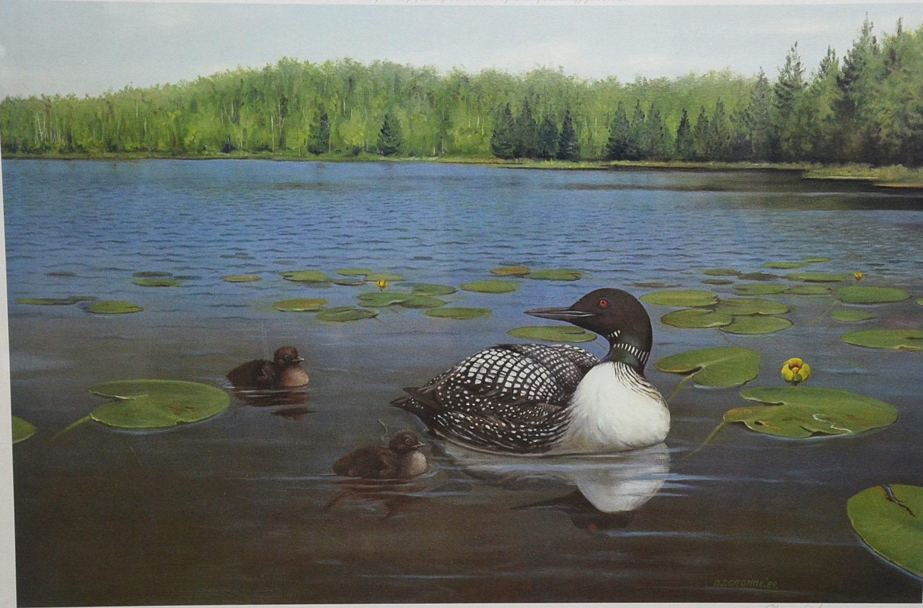 Owen J. Gromme signed print.