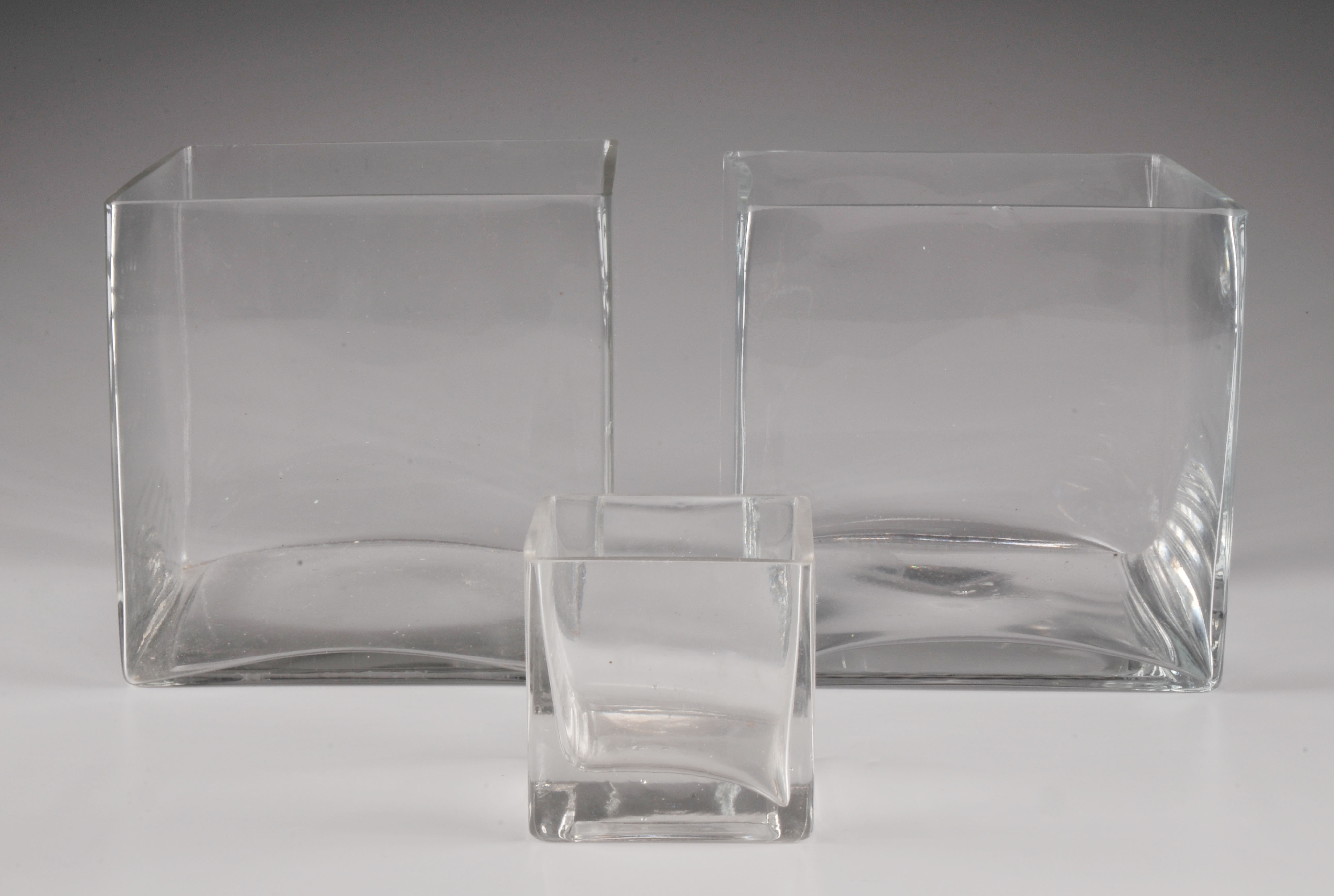 Collection of Three Clear Cube Planter Vases