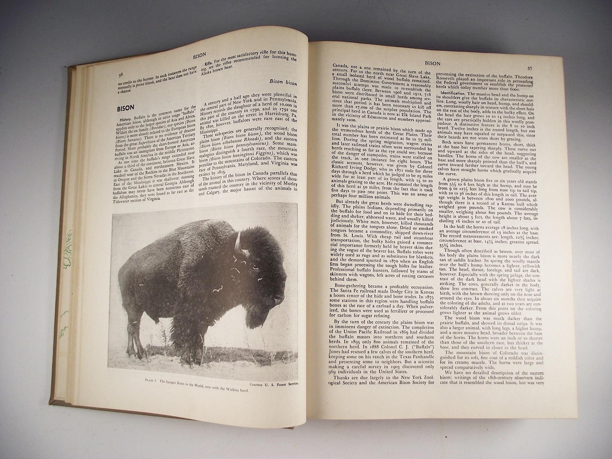 "The Hunter's Encyclopedia", copyright 1948.