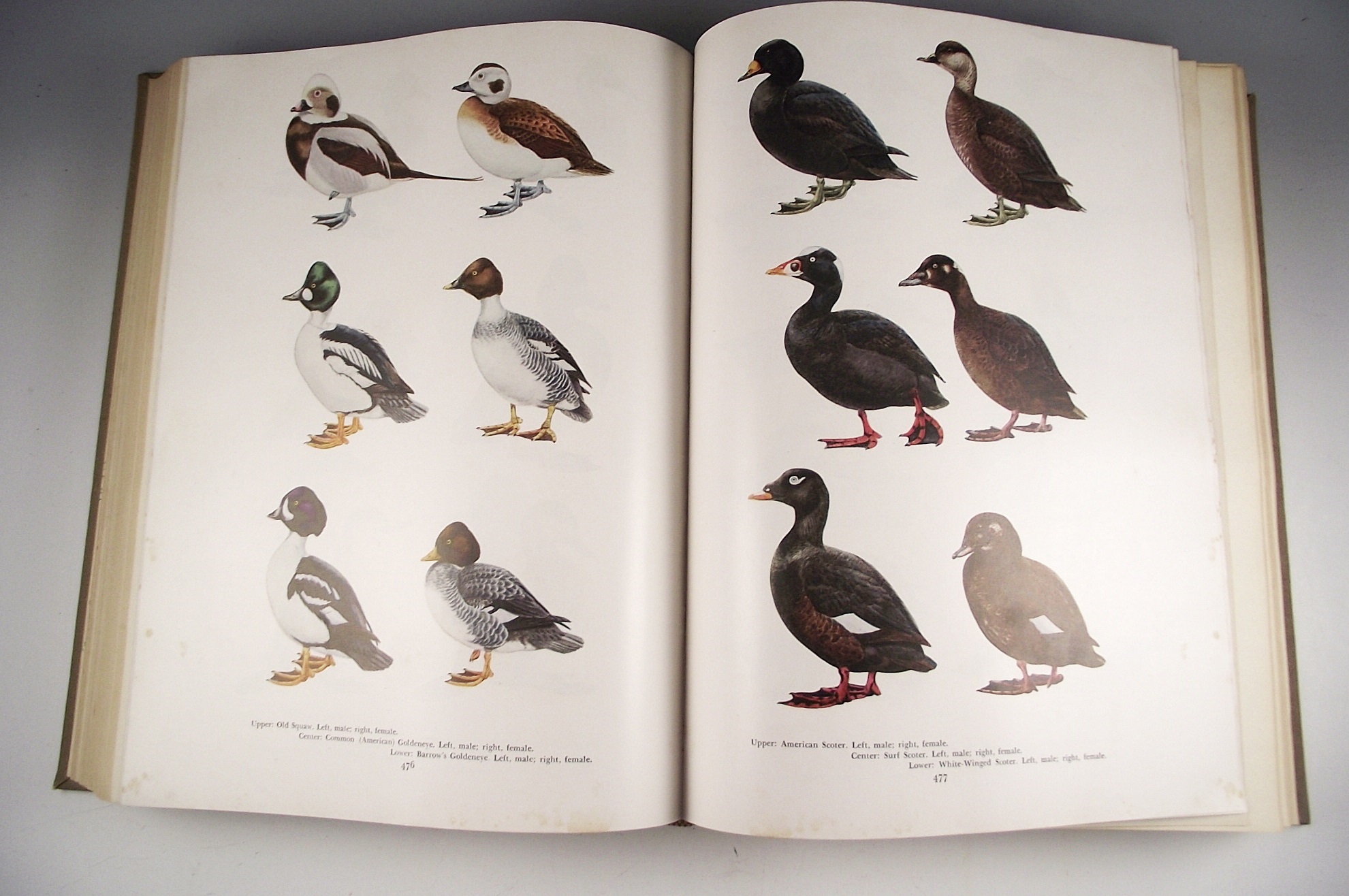 "The Hunter's Encyclopedia", copyright 1948.