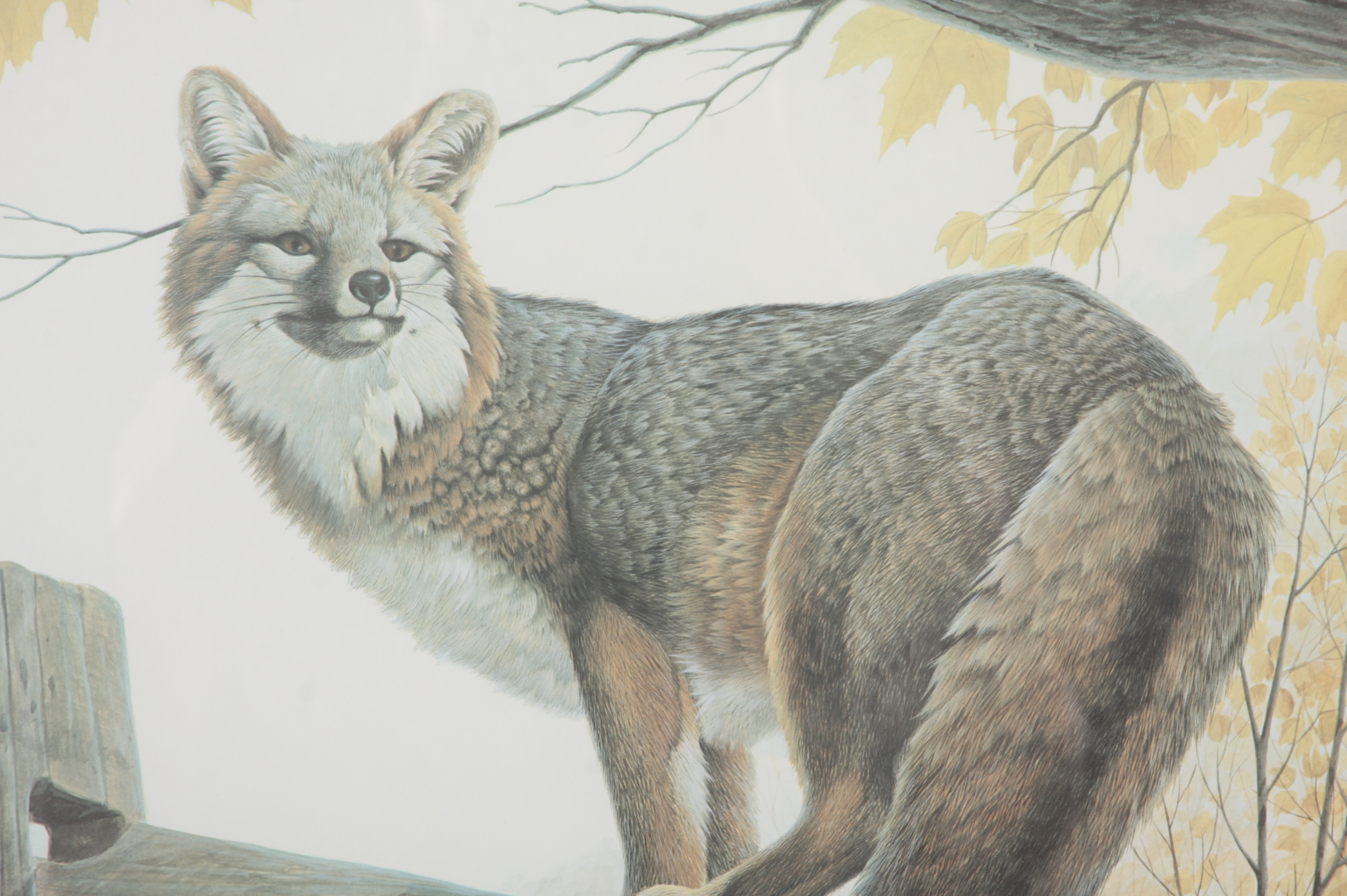 John A. Ruthven Limited Edition Photo Offset Lithography Print