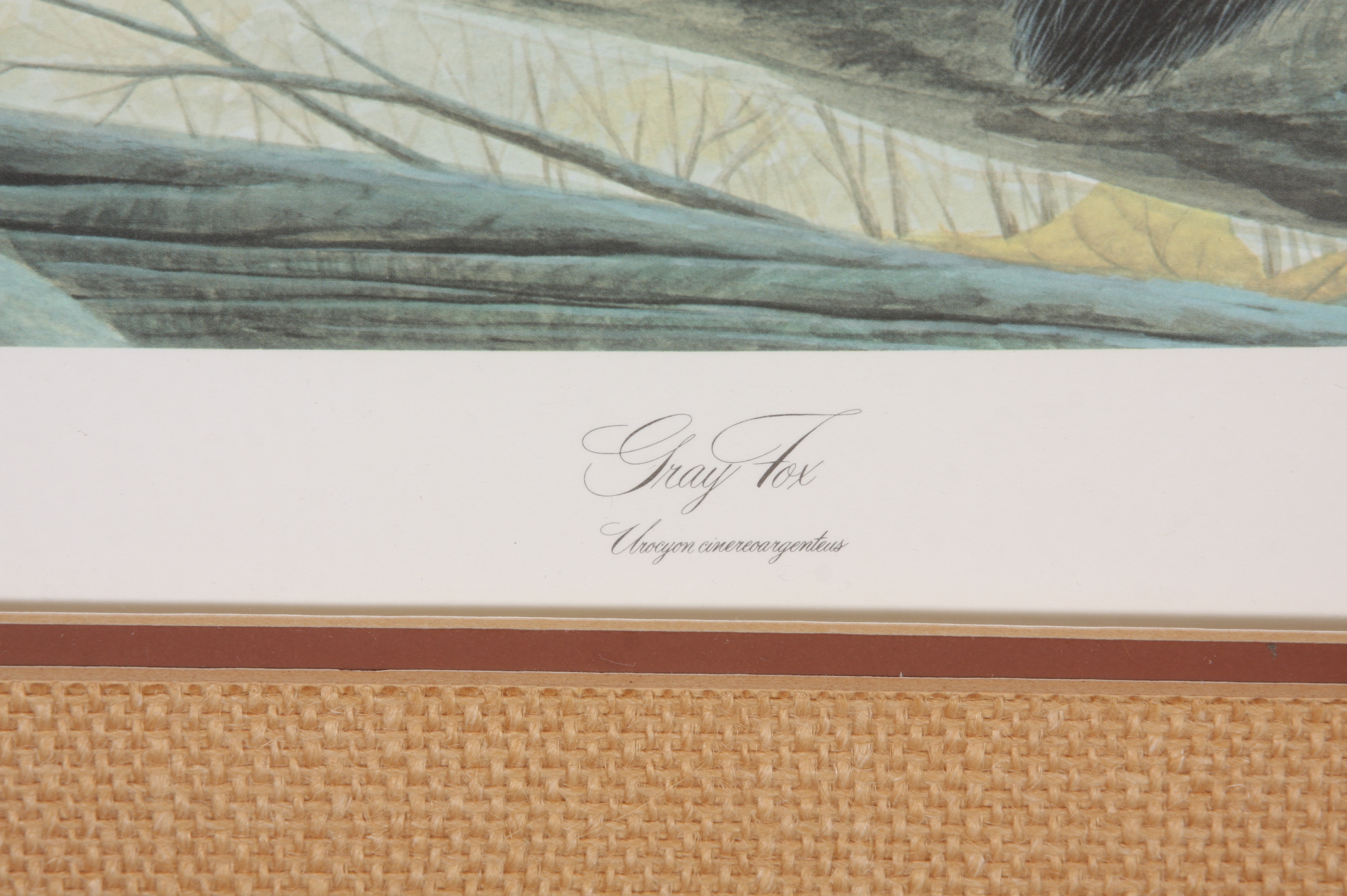 John A. Ruthven Limited Edition Photo Offset Lithography Print