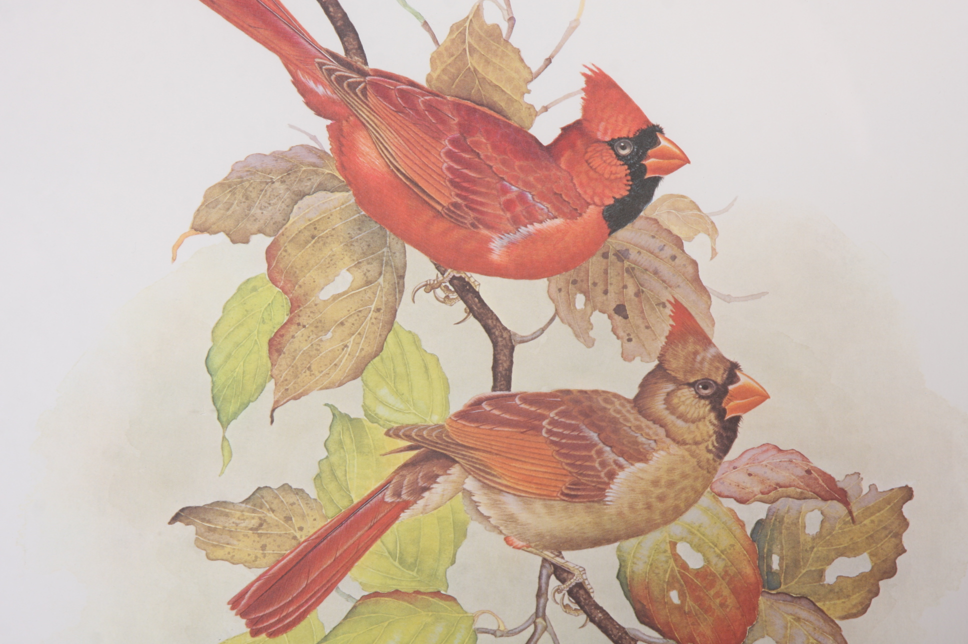 Original Jim Oliver Photo Offset Lithography Print