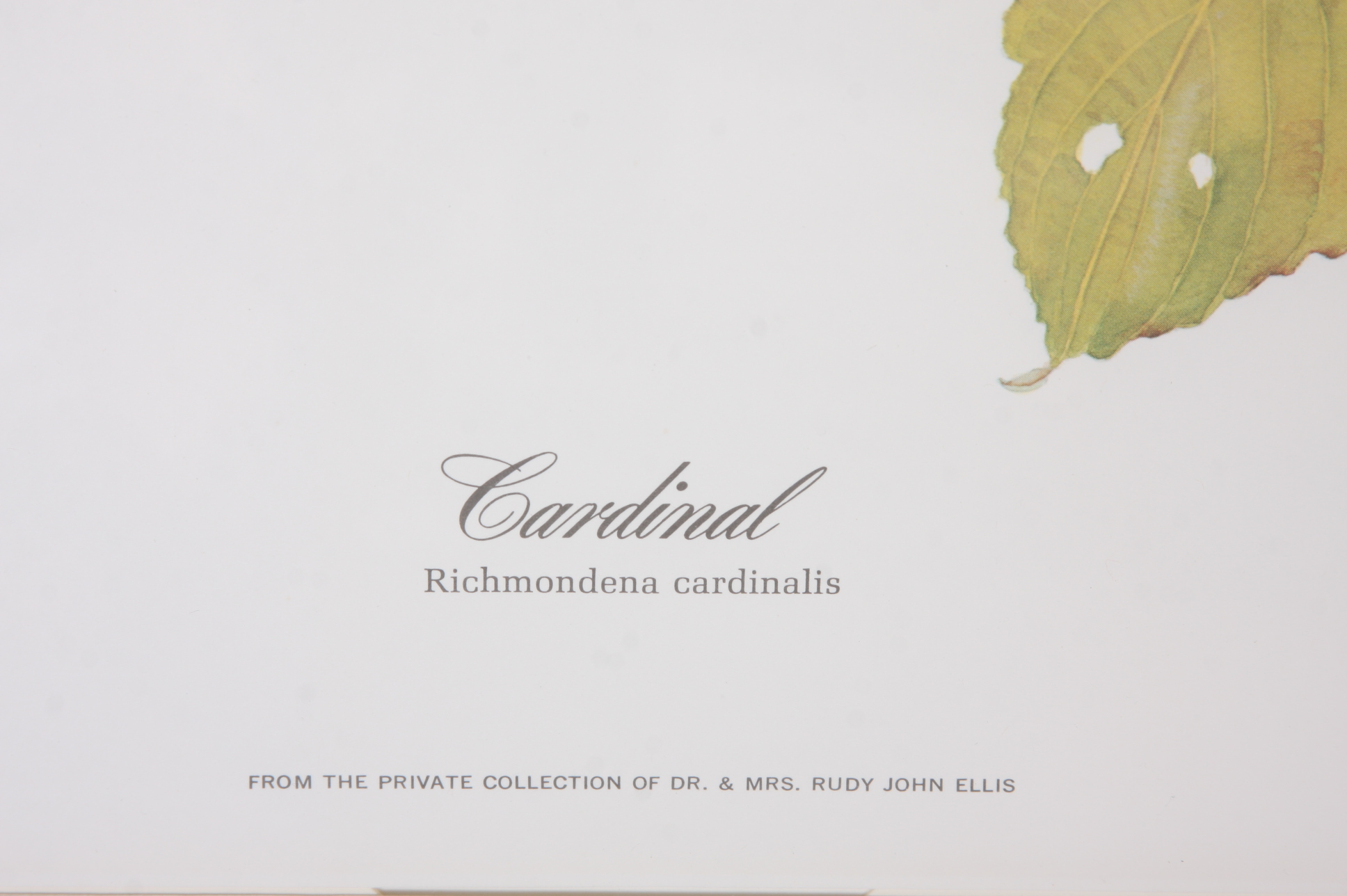 Original Jim Oliver Photo Offset Lithography Print