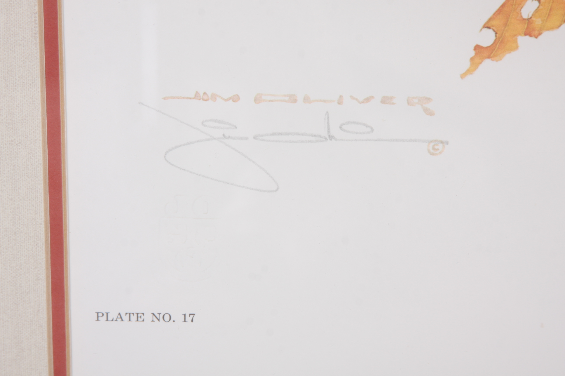 Original Jim Oliver Photo Offset Lithography Print