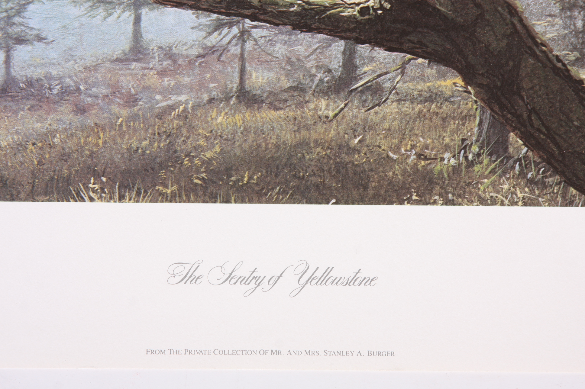 Folio of Assorted Prints