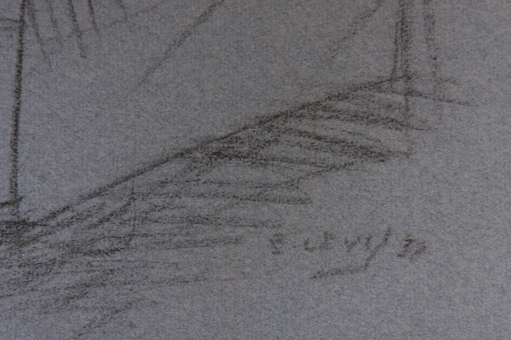 Original Evelyn Levy Shaw Drawings 