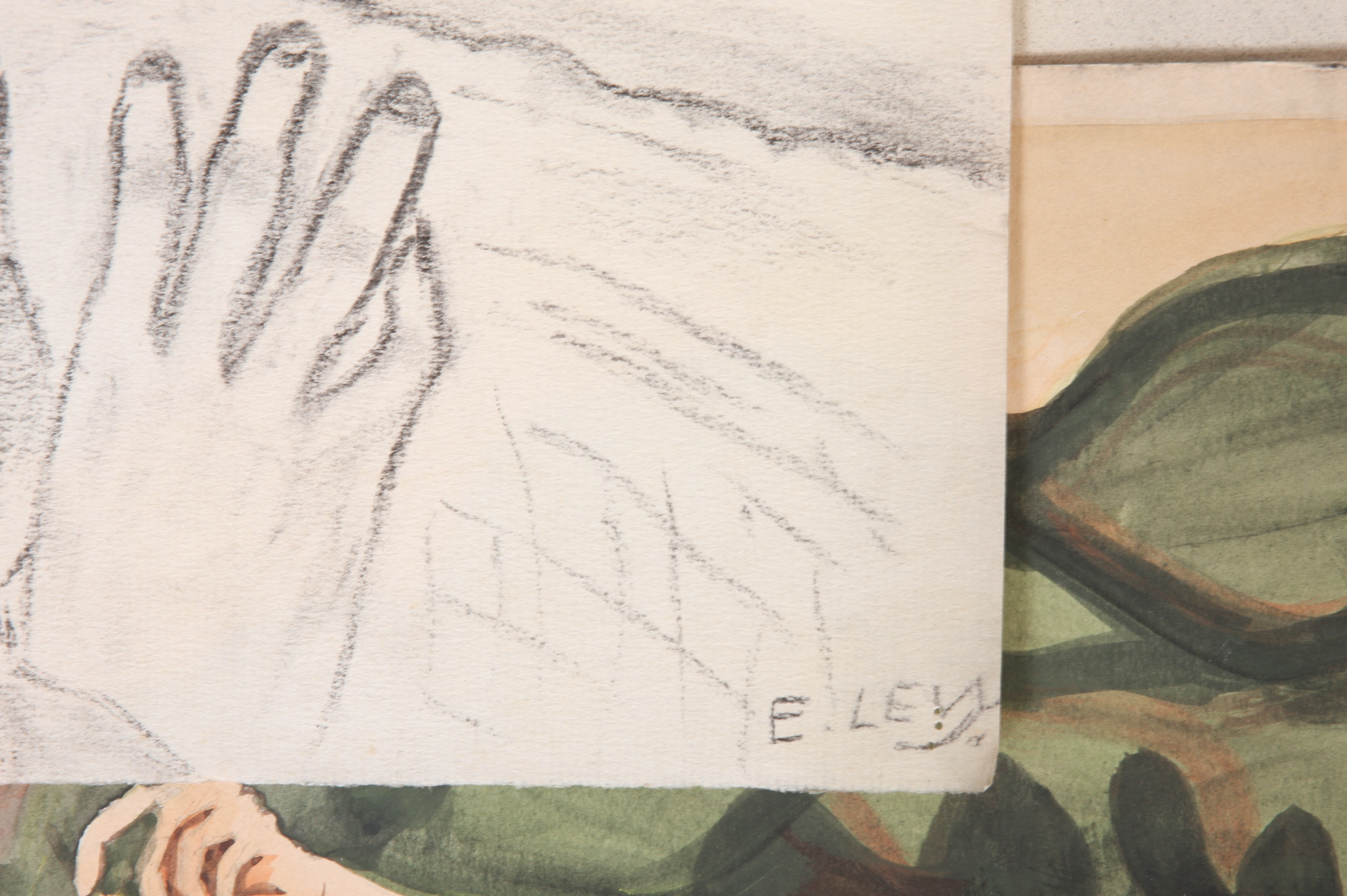 Original Evelyn Levy Shaw Drawings 