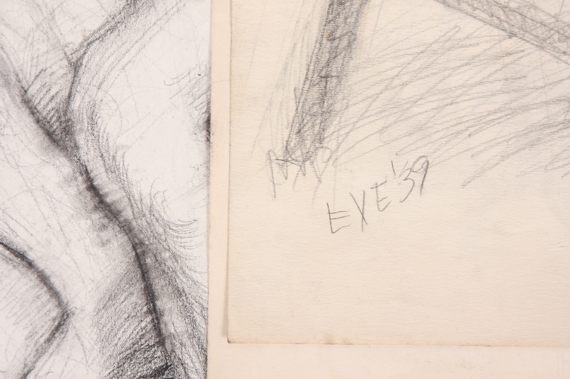 Original Evelyn Levy Shaw Drawings 