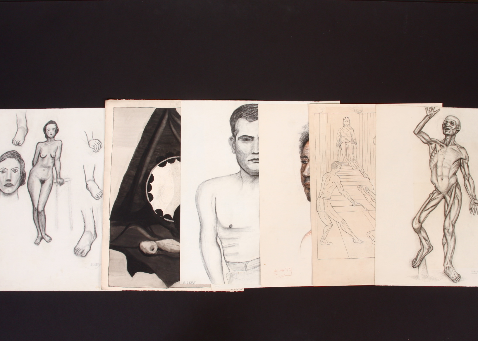 Original Evelyn Levy Shaw Drawings 