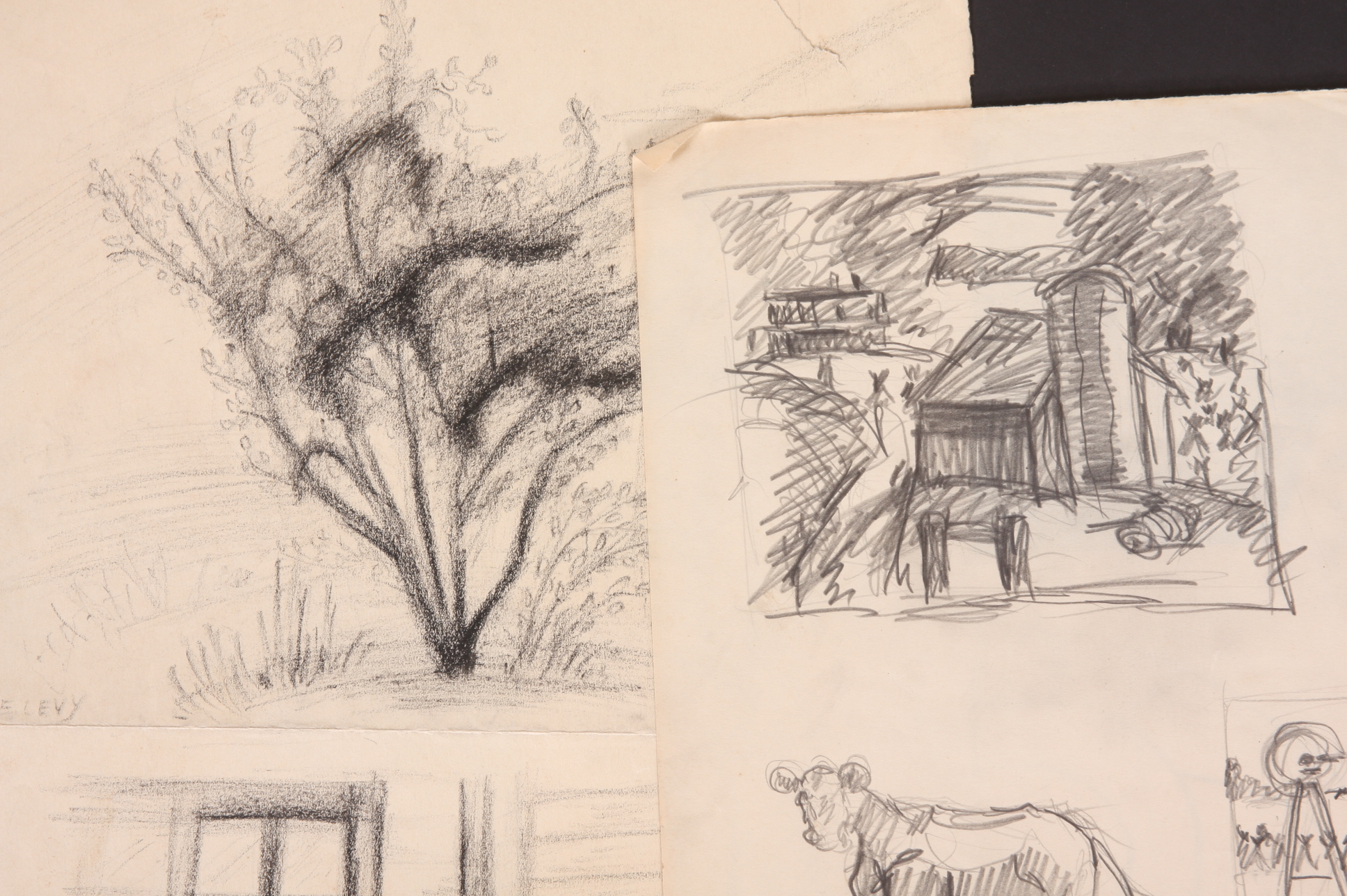 Original Evelyn Levy Shaw Drawings 