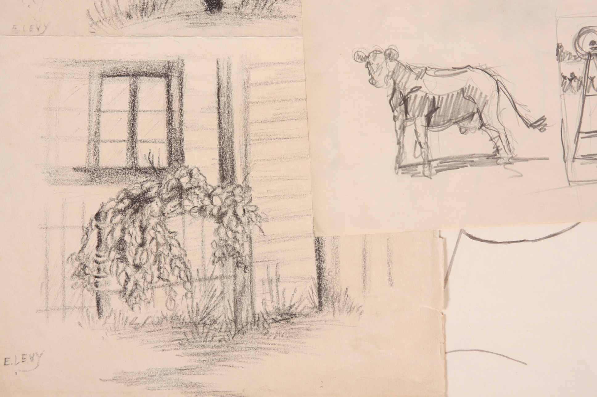 Original Evelyn Levy Shaw Drawings 