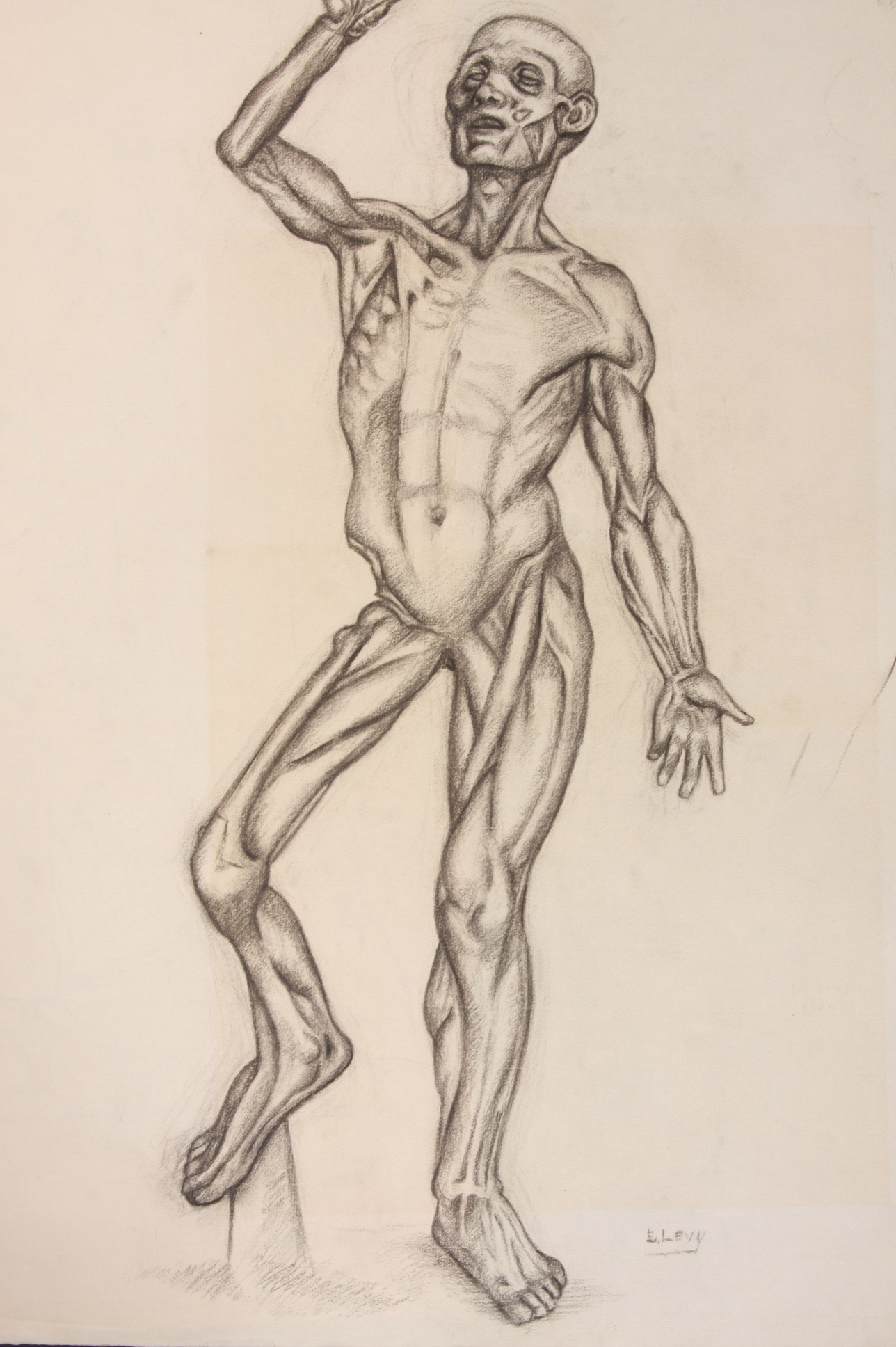 Original Evelyn Levy Shaw Drawings 