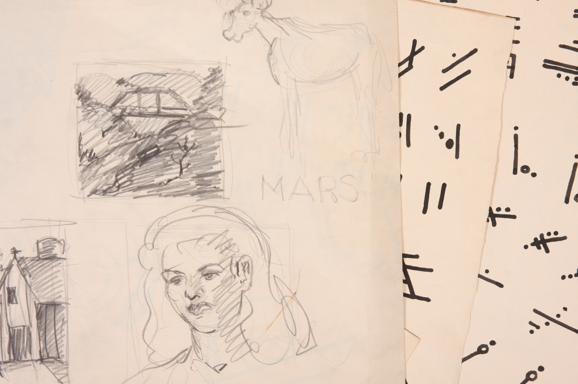 Original Evelyn Levy Shaw Drawings 